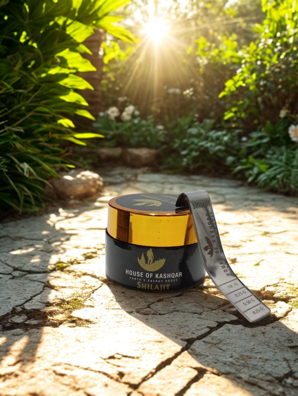 Pure Shilajit Resin (15 gm)