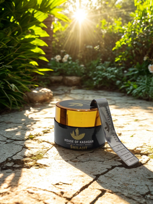 Pure Shilajit Resin (15 gm)