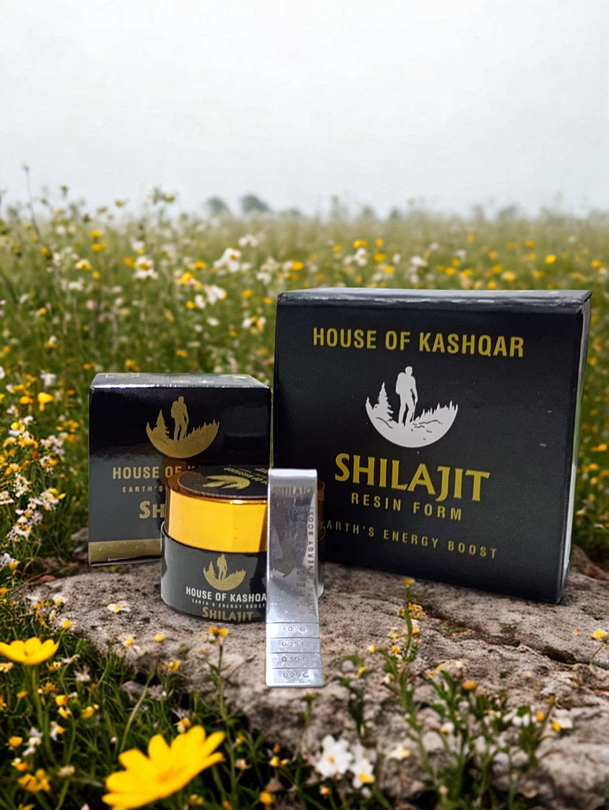 Pure Shilajit Resin (25 gm)